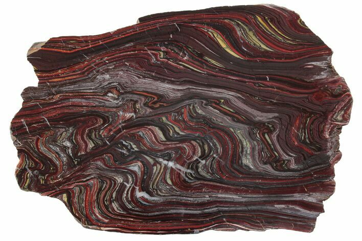 Polished Tiger Iron Stromatolite Slab - Billion Years #221800